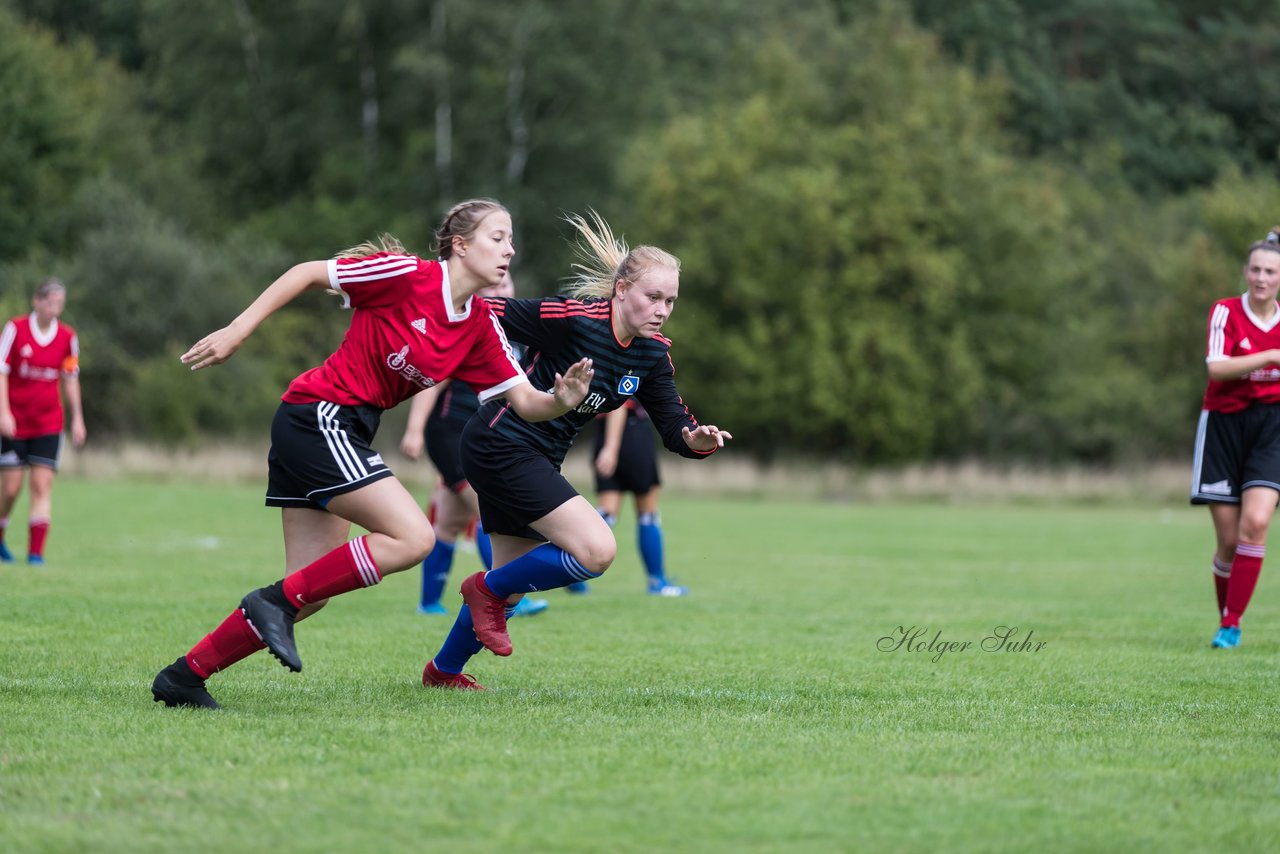 Bild 305 - Frauen SG NieBar - HSV 2 : Ergebnis: 4:3